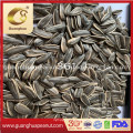 Perfect Quality Sunflower Seeds New Crop with Ce